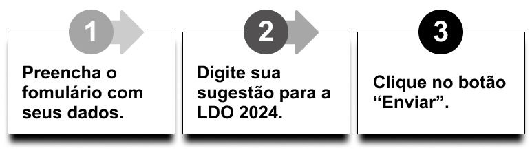 Imagem da página Audiência Pública Online para debater a Lei de Diretrizes Orçamentárias 2024.